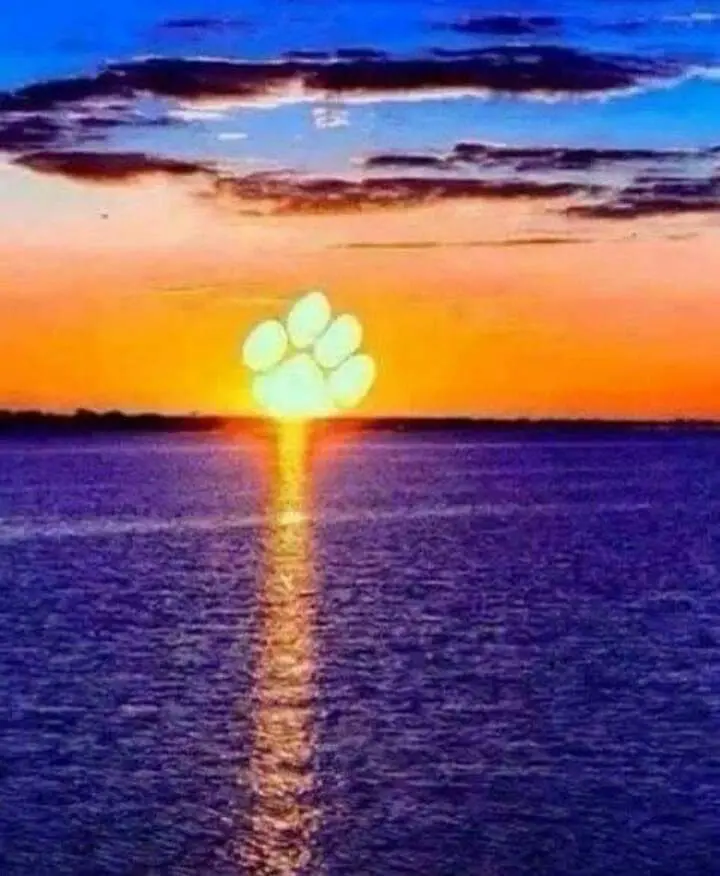 Andachtsbild von Konny mit Piccolino-Fly tief im ❤️