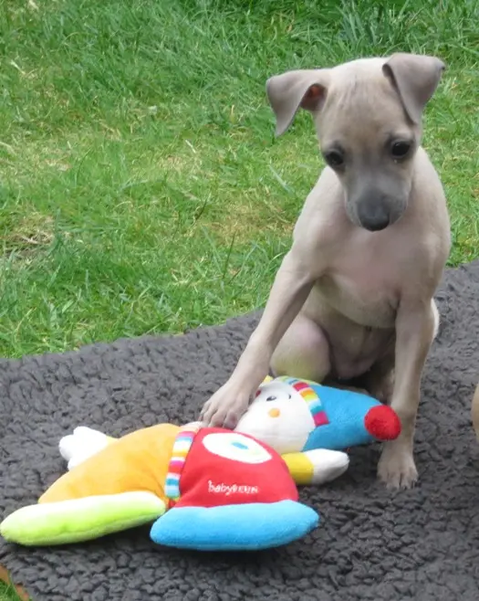 Andachtsbild von Ulla Bastek