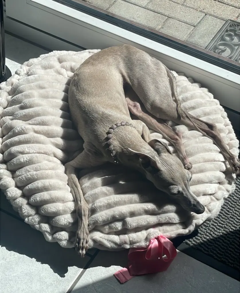 Andachtsbild von Ulla Bastek