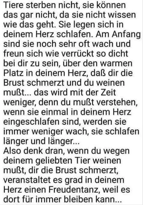 Andachtsbild von Sonja Feuerstein