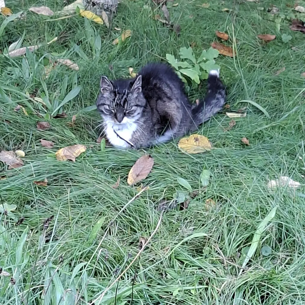 Andachtsbild von Katja Basler