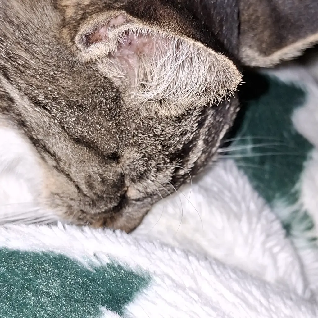 Andachtsbild von Katja Basler