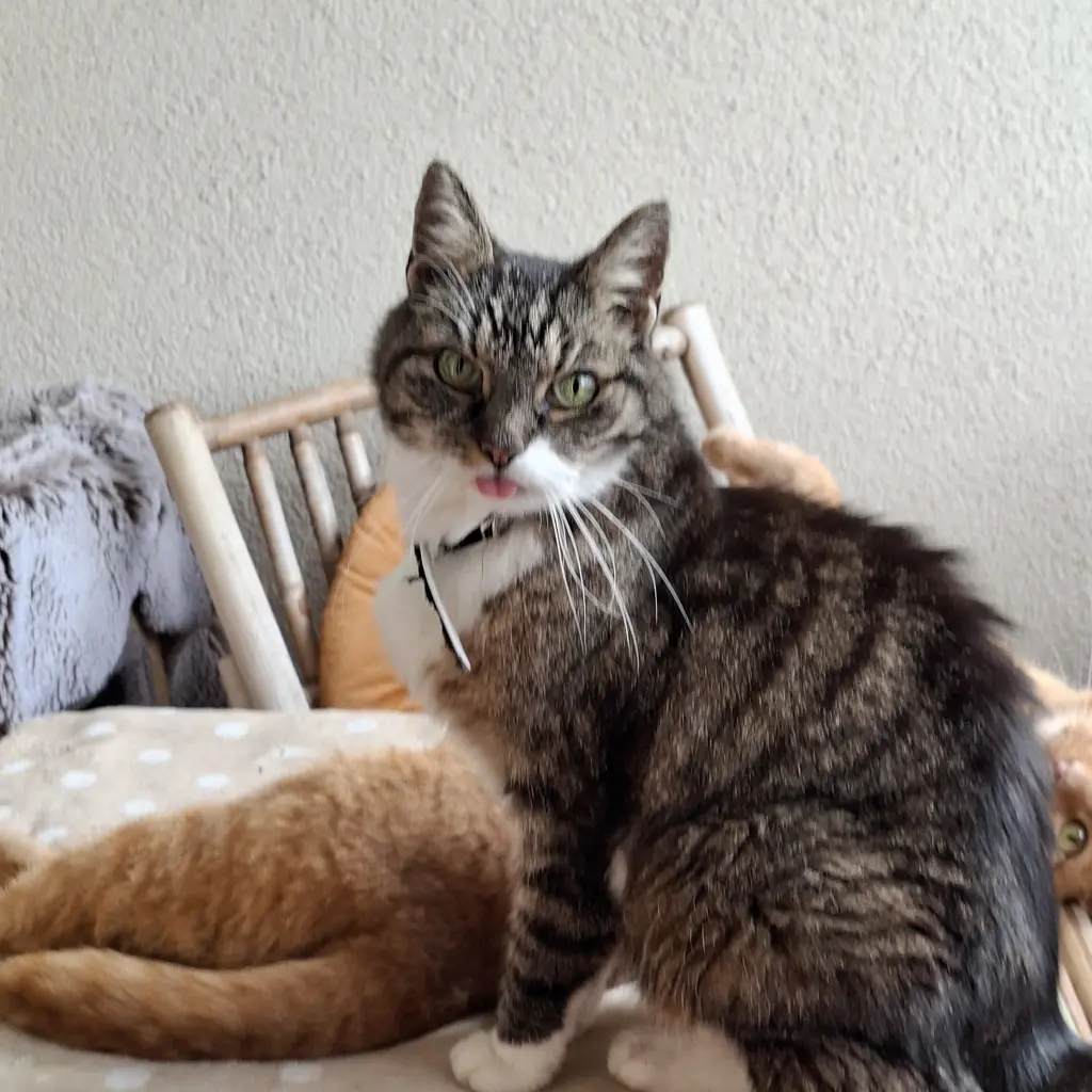 Andachtsbild von Katja Basler