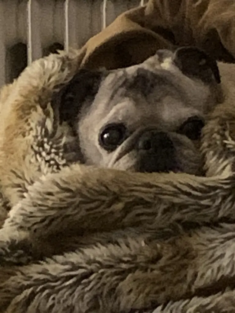 Andachtsbild von Kerstin