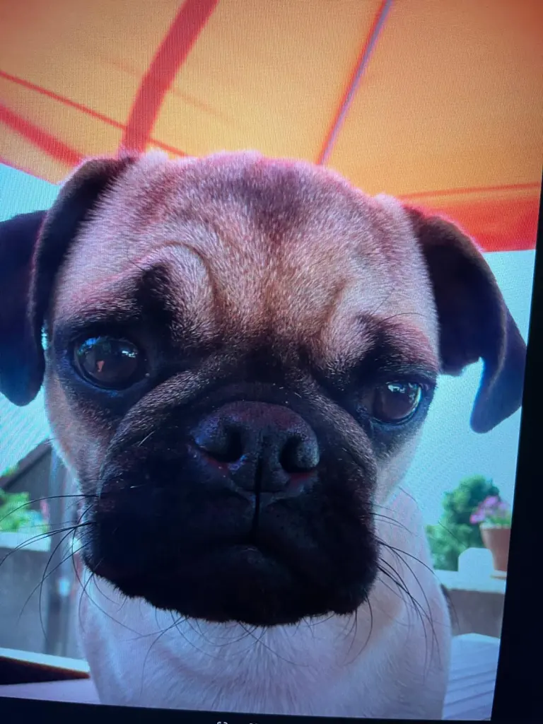 Andachtsbild von Andreas & Kerstin Proksch