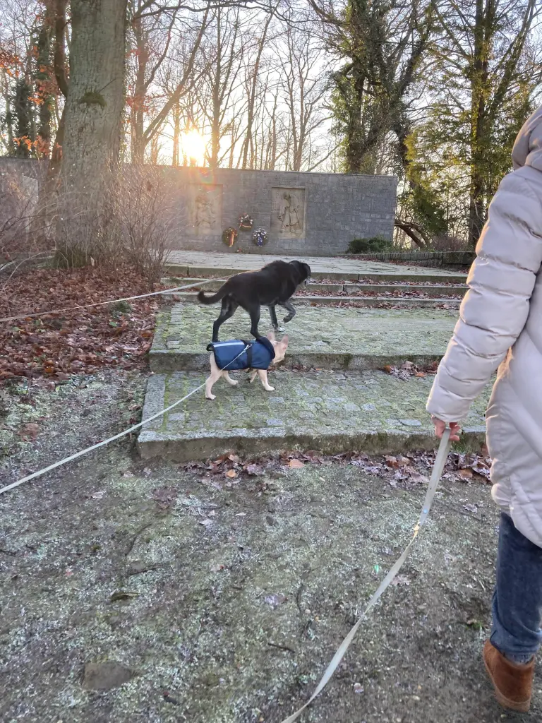 Andachtsbild von Kerstin Gabriel