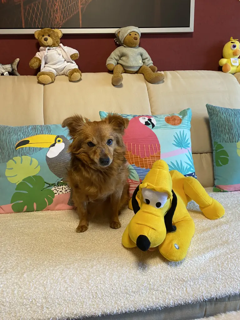 Andachtsbild von Stefan Panzok