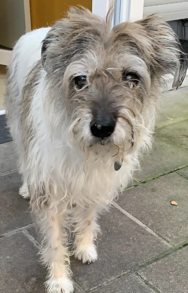 Und hast 16 3/4
Jahre mit mir geteilt