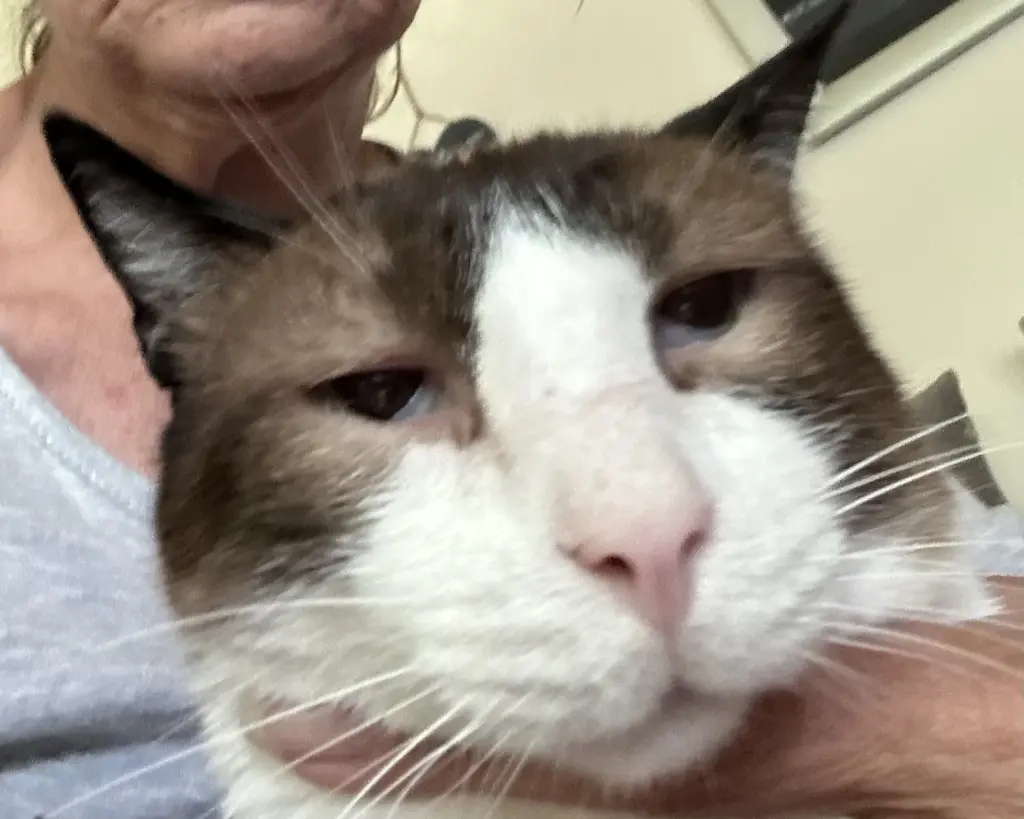 Dein letztes Foto 🖤