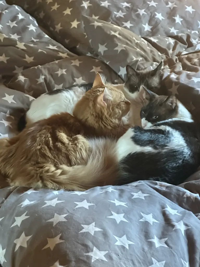 Die ganze Truppe, in der Du so sehr fehlst.