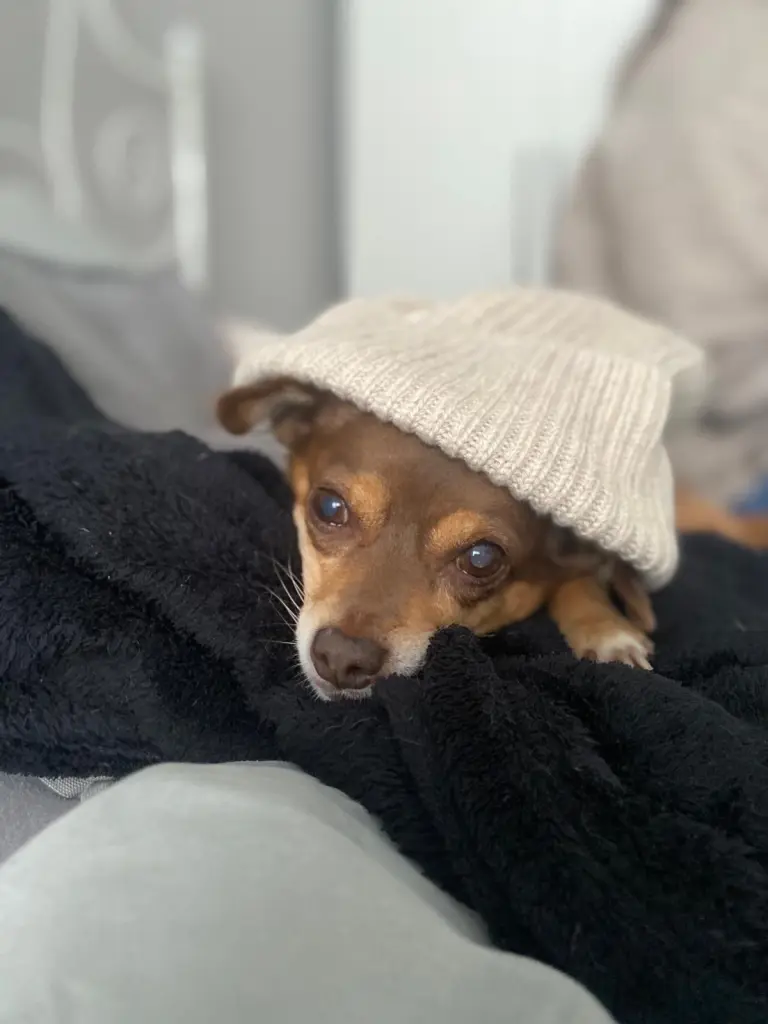 ❤️unser Prinzessin