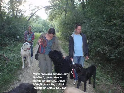 Image from meine einzigartige Sina tief im Herzen und Best
