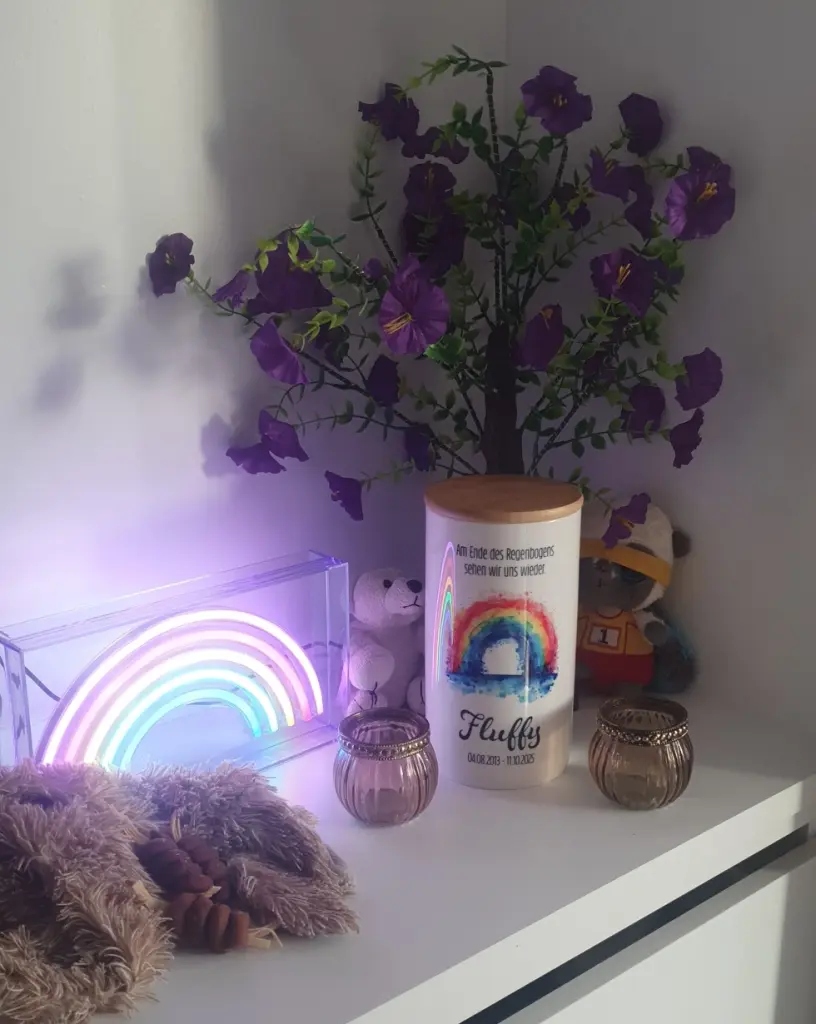💕💕💕