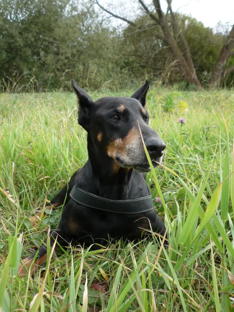 Condolence image of Simone