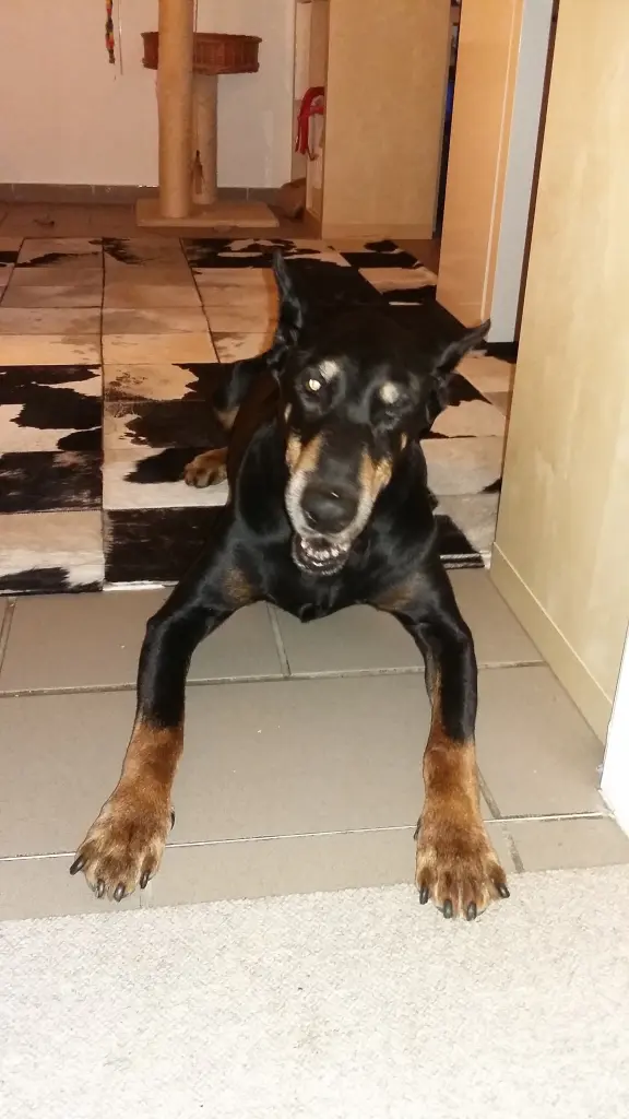 Condolence image of Simone