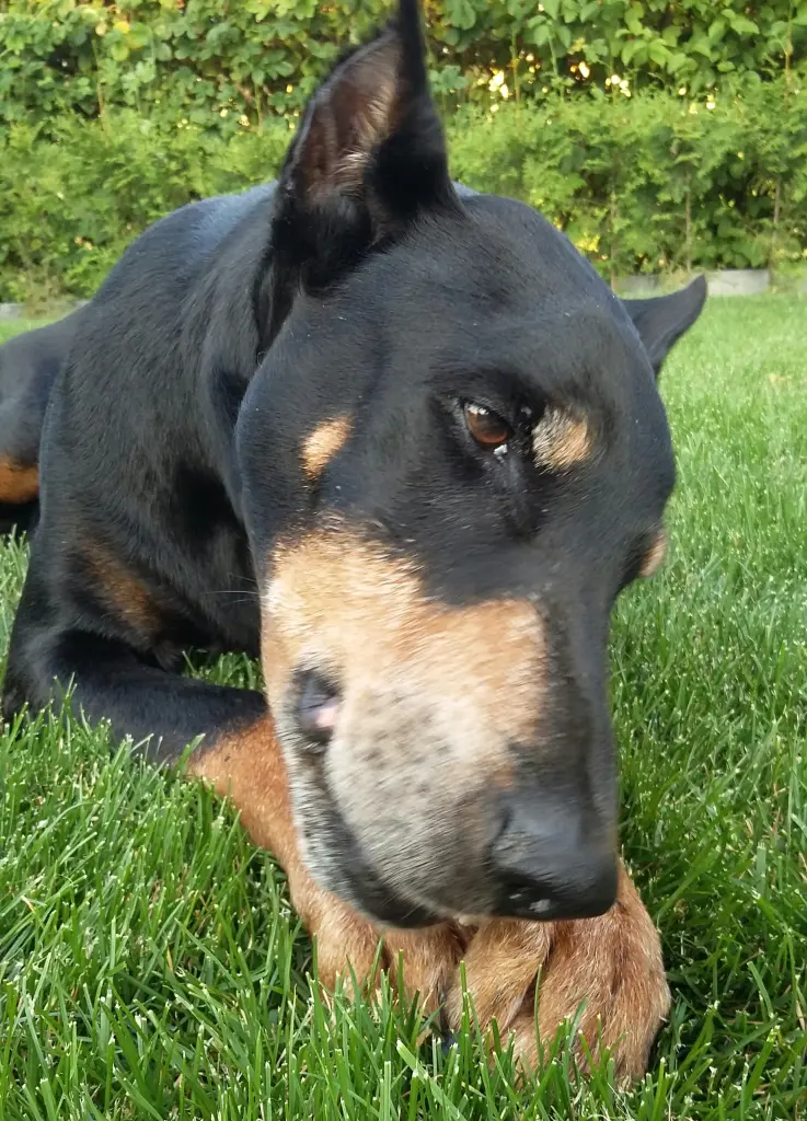 Condolence image of Simone