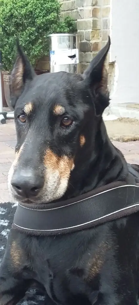 Condolence image of Simone