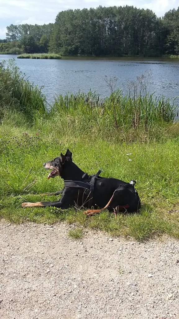 Condolence image of Simone