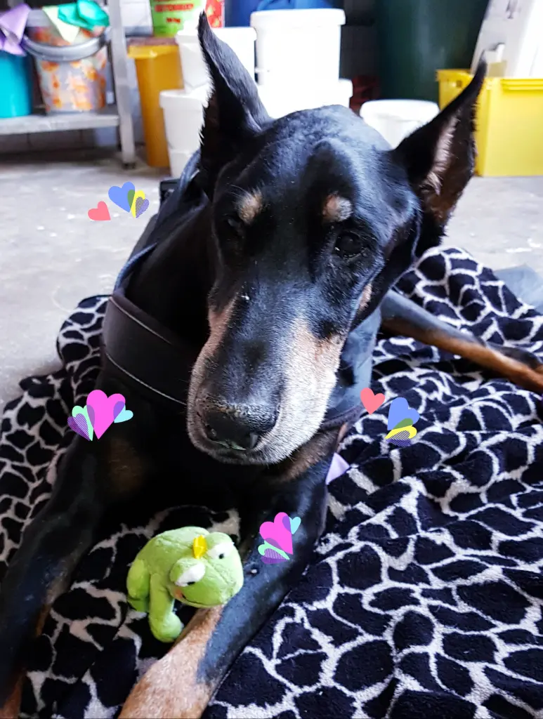 Condolence image of Simone 