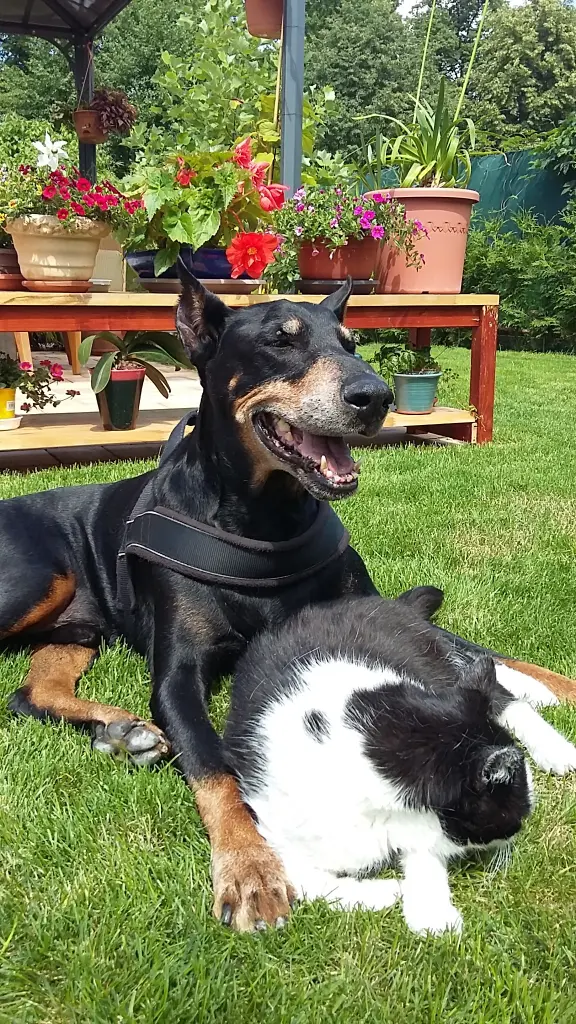 Condolence image of Unbekannt