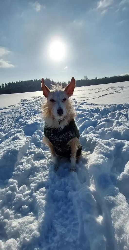 Winterspaziergang