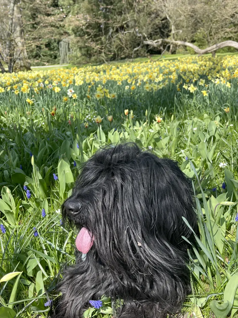 Andachtsbild von Dominique Herbig