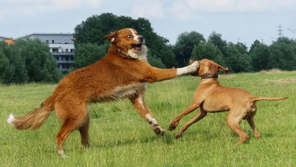 Andachtsbild von Pia K.