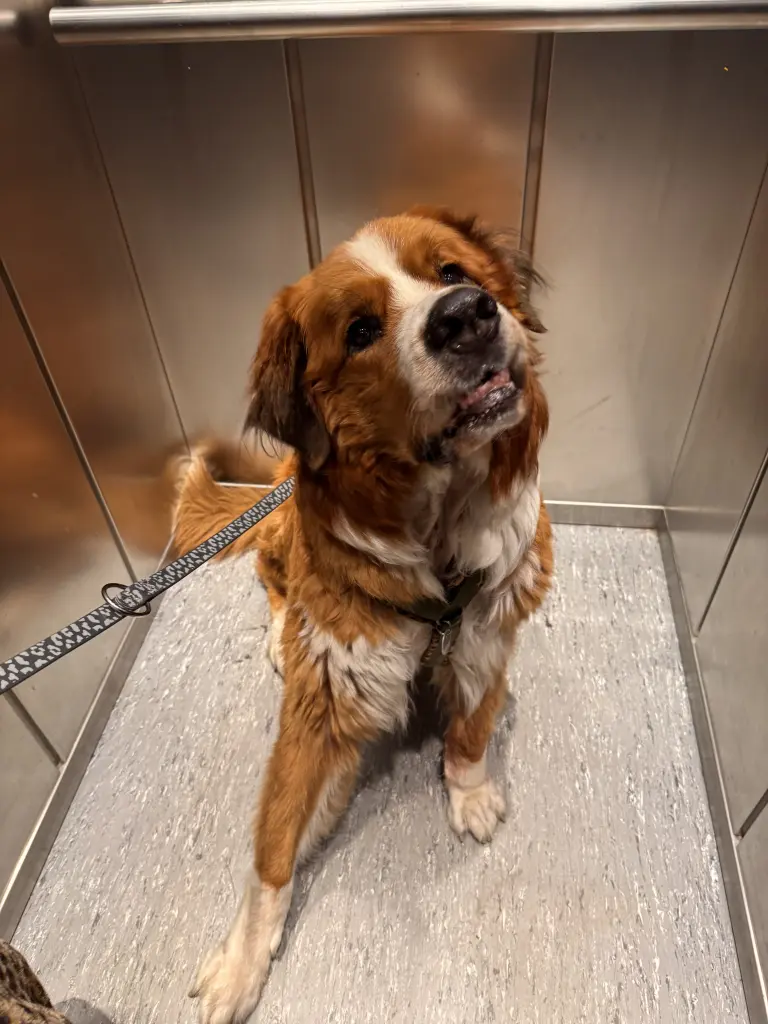 Condolence image of Maria