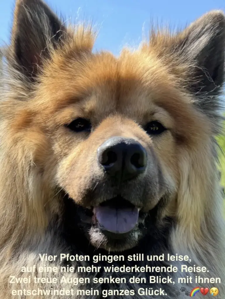 Andachtsbild von Andrea