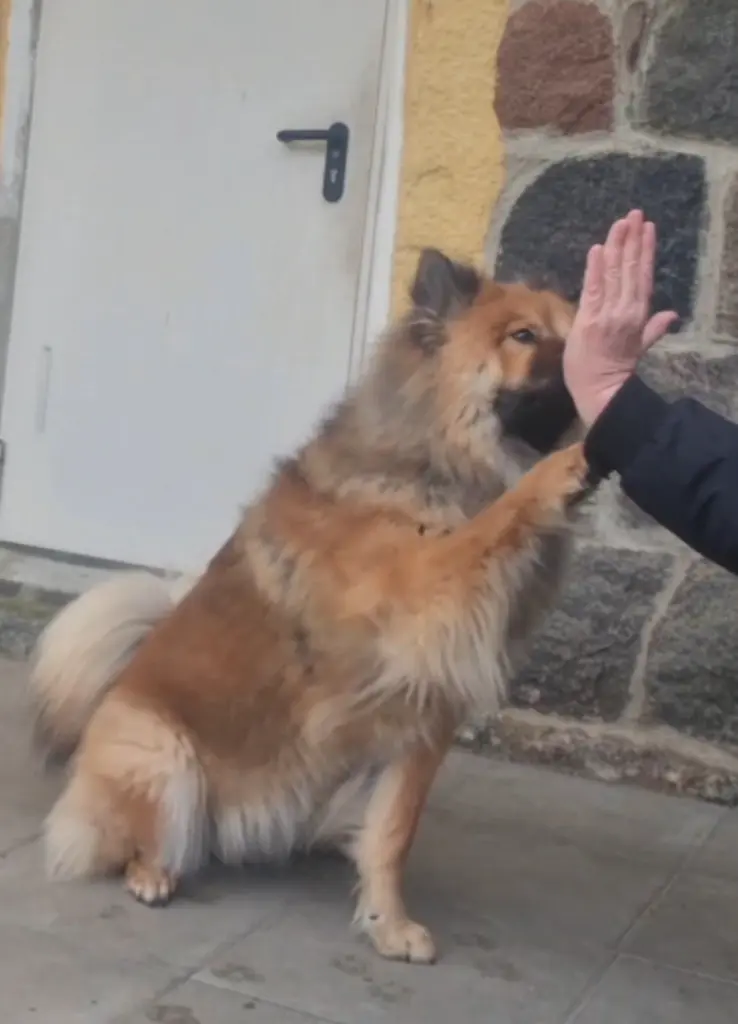 Mit dir an meiner Seite fühlte ich mich stets sicher und beschützt