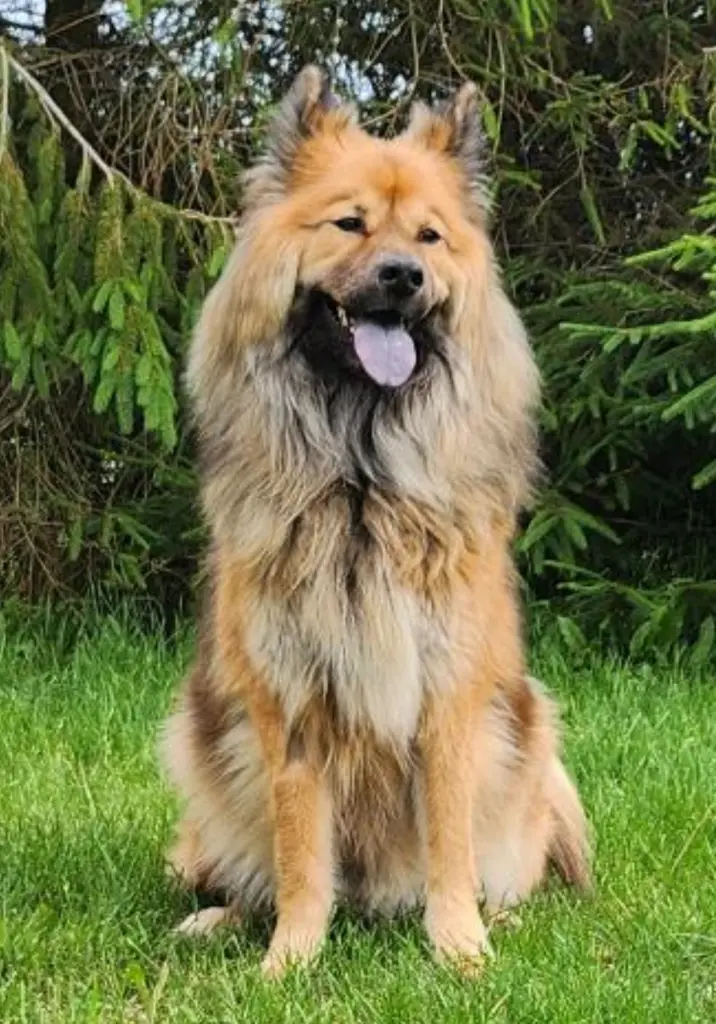 Es gibt einen Ort an dem wir uns eines Tages wiedersehen. Am Ende des 🌈