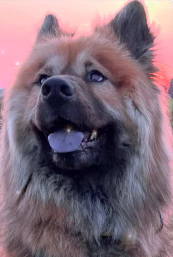 Du bist immer bei mir ❤️