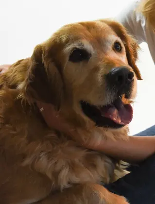 Condolence image of Micha mit Cäsar im Herzen