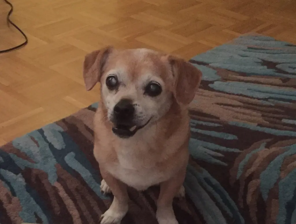 Condolence image of Esther Riehl-Müller