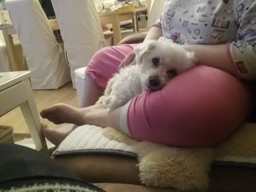 Condolence image of Karin