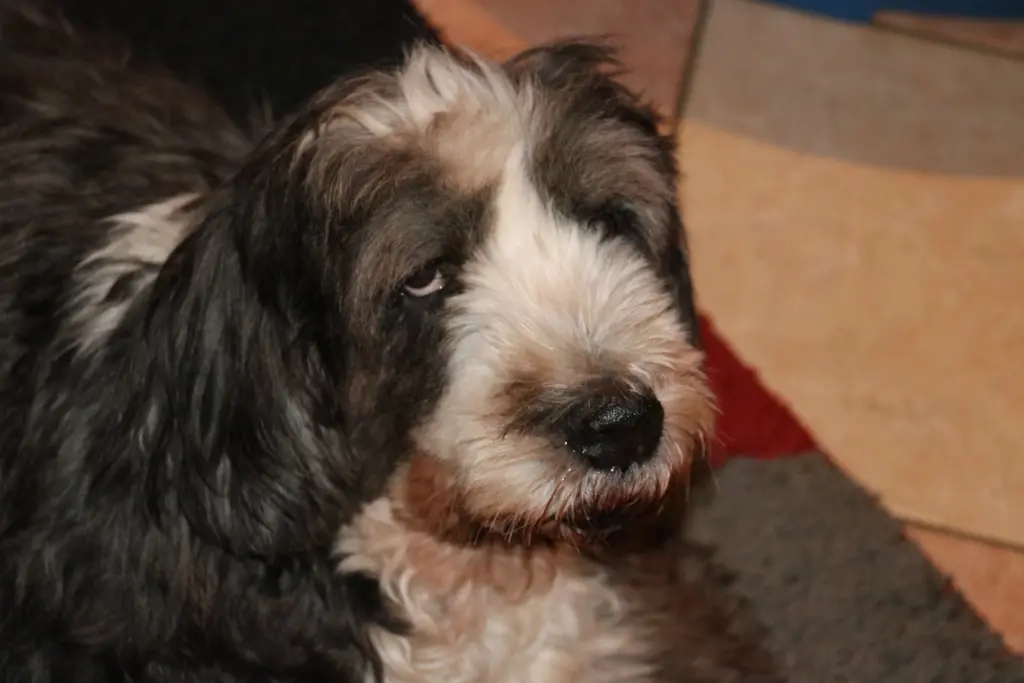 Condolence image of KAUFMANN CLAUDE