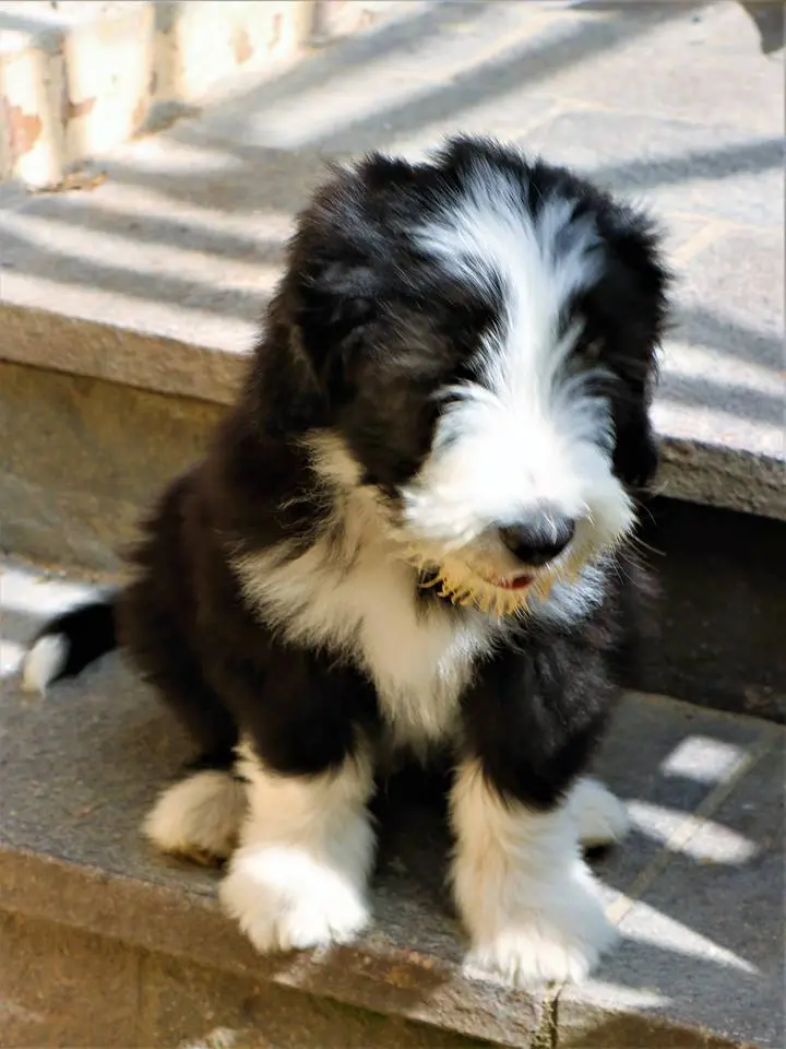 Condolence image of claude