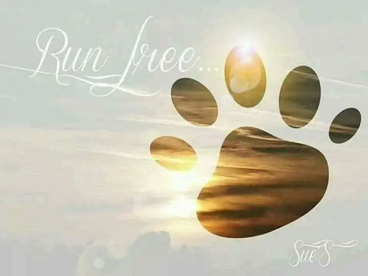 Andachtsbild von Konny mit Piccolino-Fly tief im ❤️