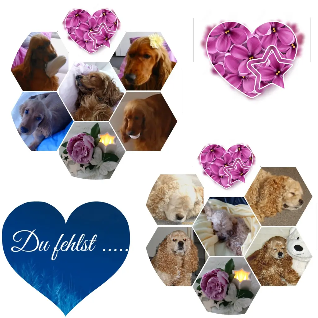Condolence image of Mein herzliches Beileid und tiefes Mitgefühl.....