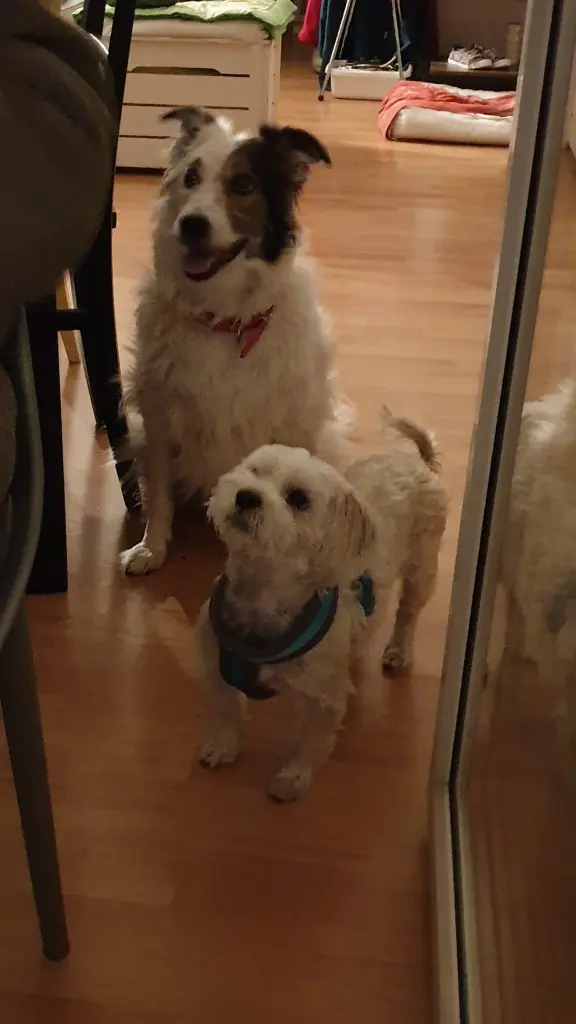 Andachtsbild von Katja Köhler