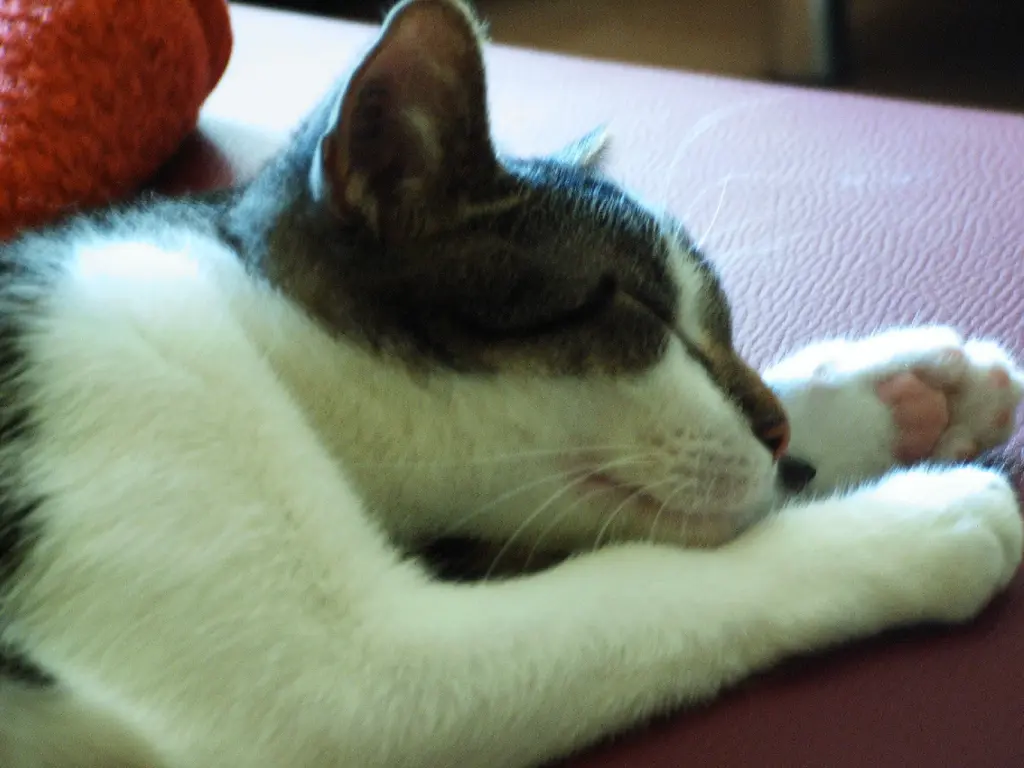 Condolence image of Ralf