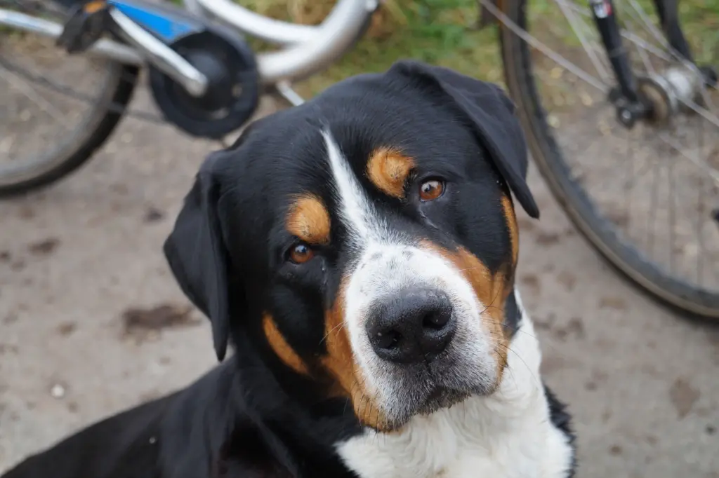 Condolence image of Marion