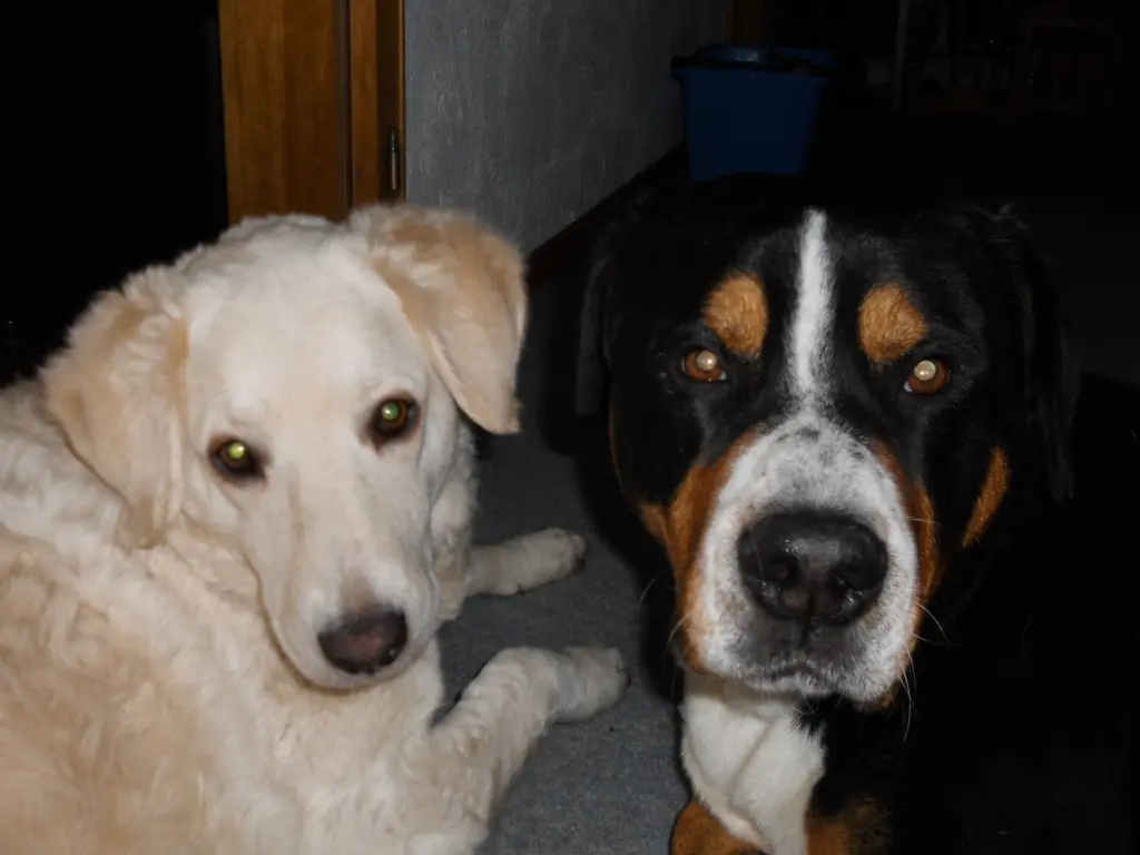 Condolence image of Marion