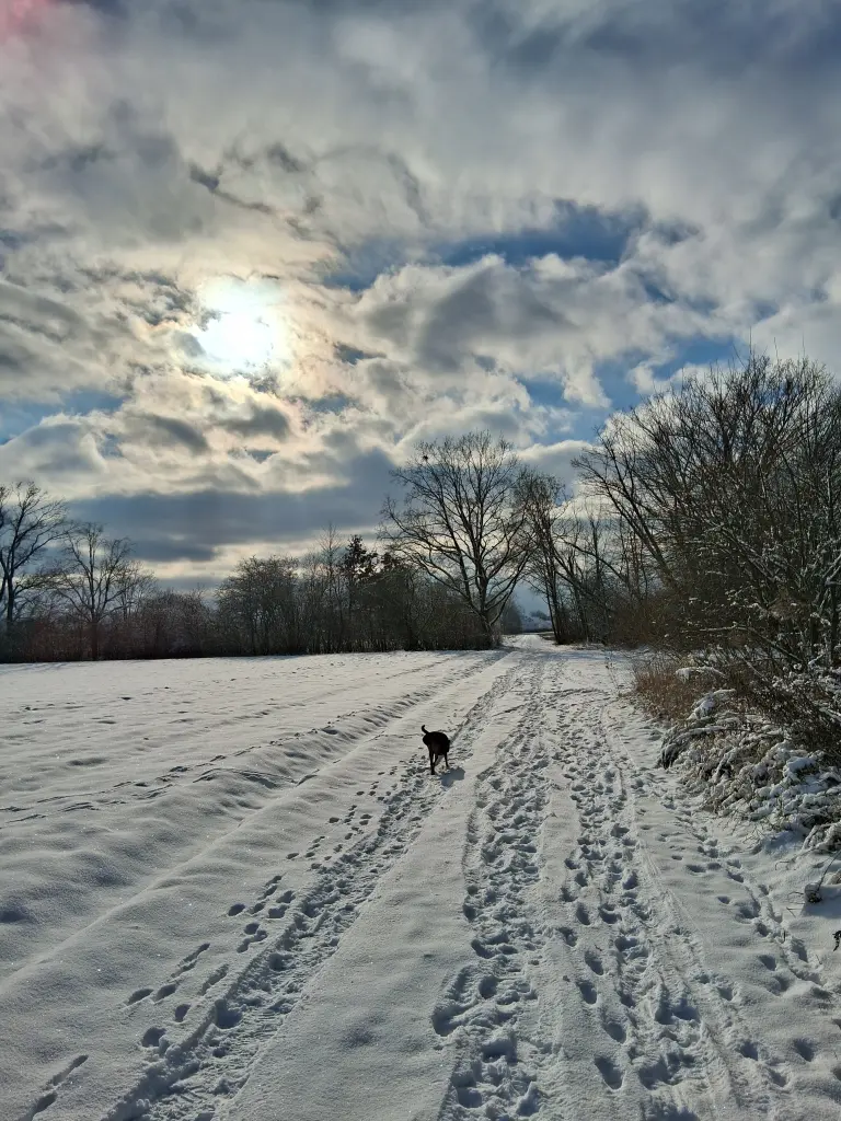 Andachtsbild von Erika Cremer