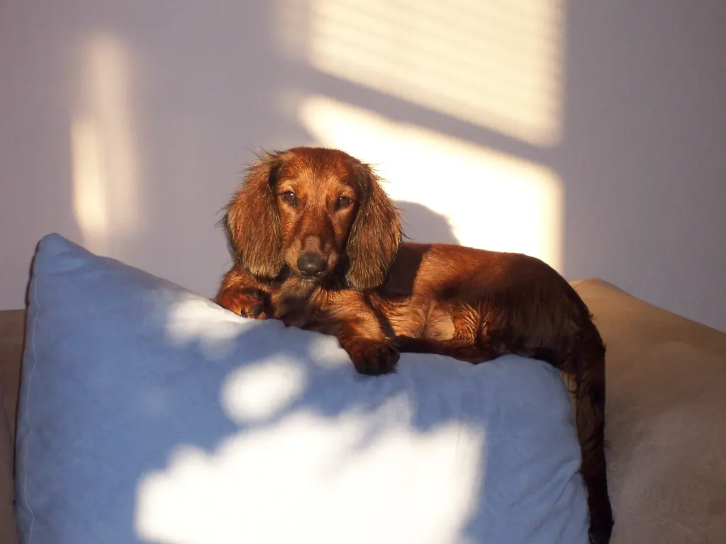 Immer auf der Sonnenseite