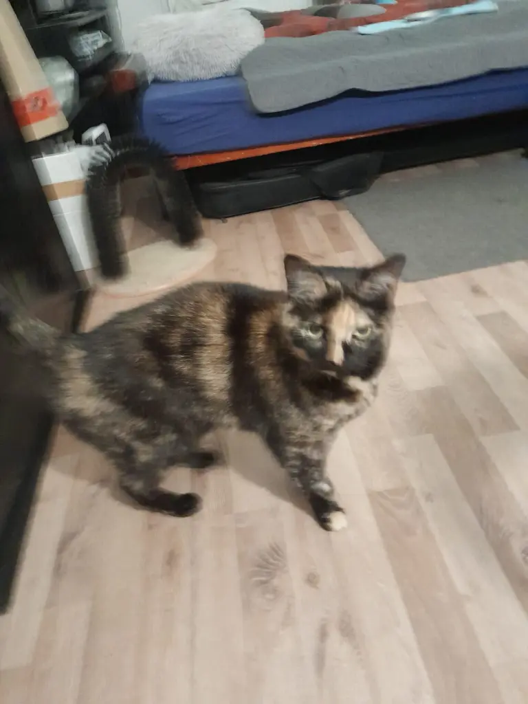 Andachtsbild von Rüdiger Haußels