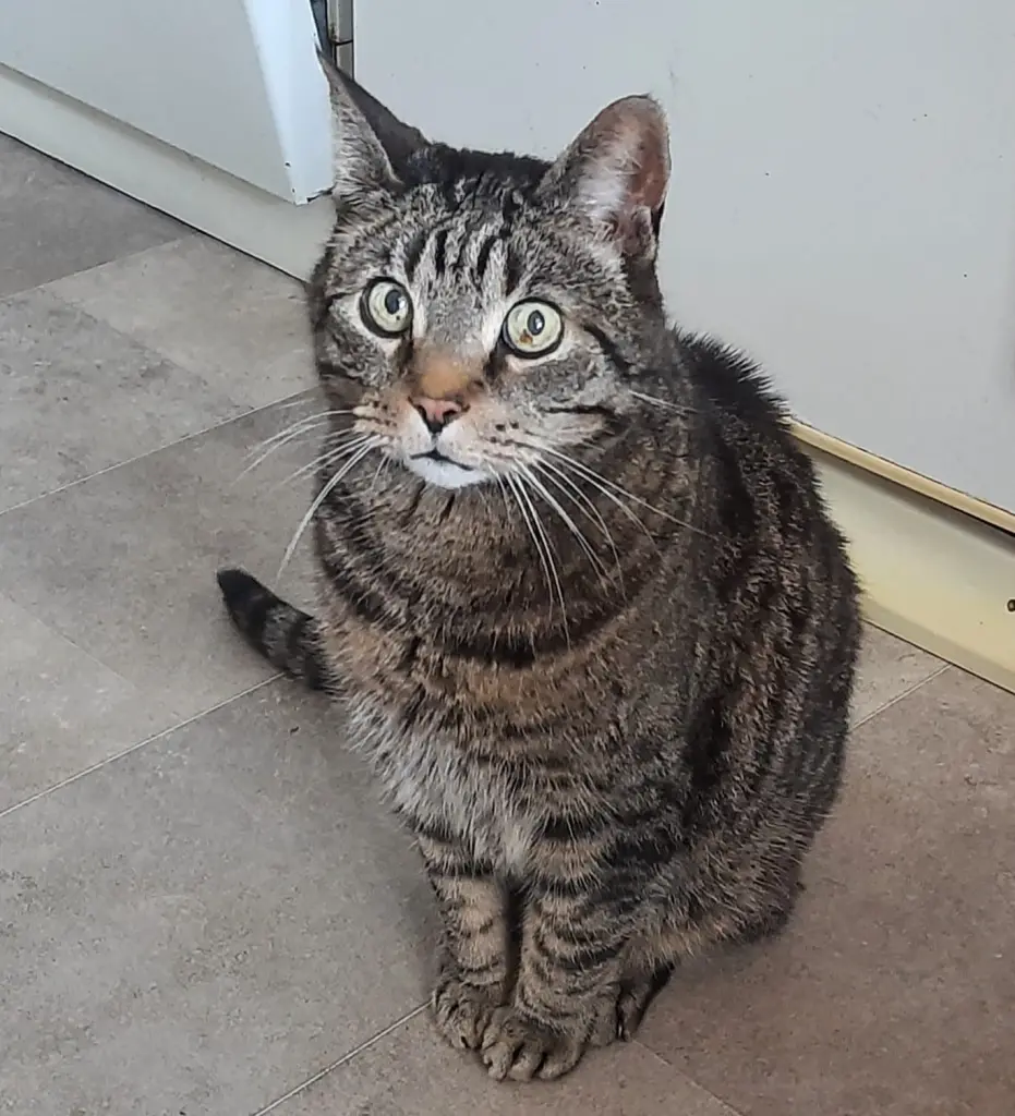 Andachtsbild von Rüdiger Haußels