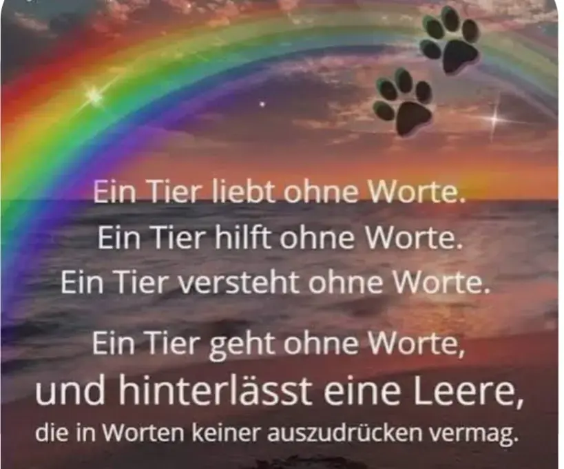 Andachtsbild von Snoopy und Pünktchen