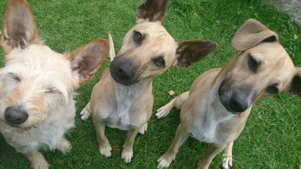 Andachtsbild von Patricia Reinbott