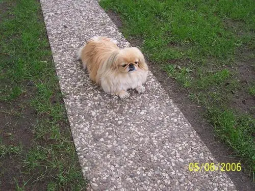 Image from ,,MEINE EINZIGARTIGE SINA,,